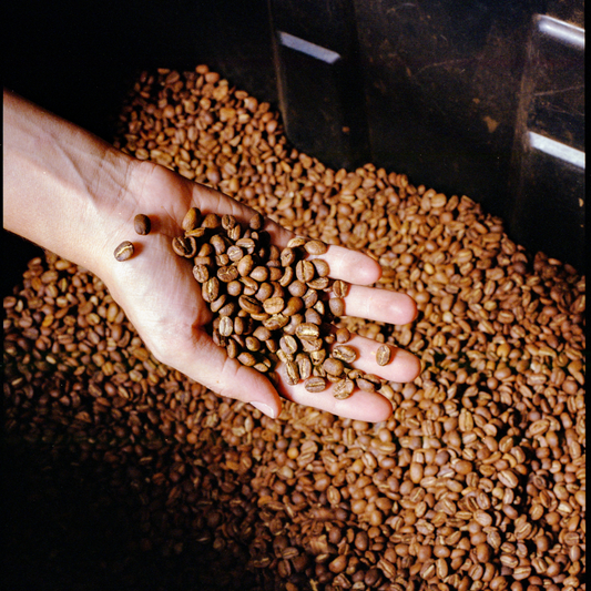 coffee beans roasted in Montreal