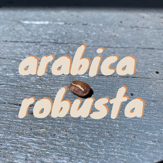 ARABICA & ROBUSTA