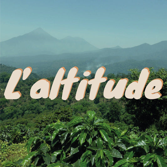 Why Is Altitude Listed on Coffee Bags? (And Why It Matters to Flavor)